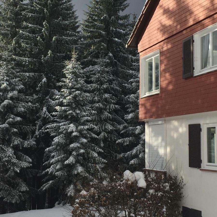 Ferienwohnung Boerner Kniebis Exteriér fotografie